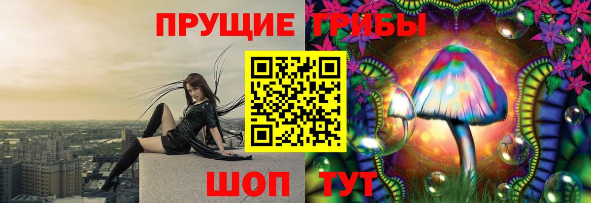 Псилоцибиновые грибы мухоморы Среднеуральск
